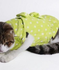 Cotton Knot Dot Pattern Warm Cat Clothes