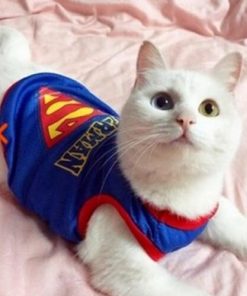 Cute Breathable Mesh Cat Shirt