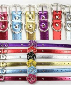 Flower Bling Cat Collar Lead Harness
